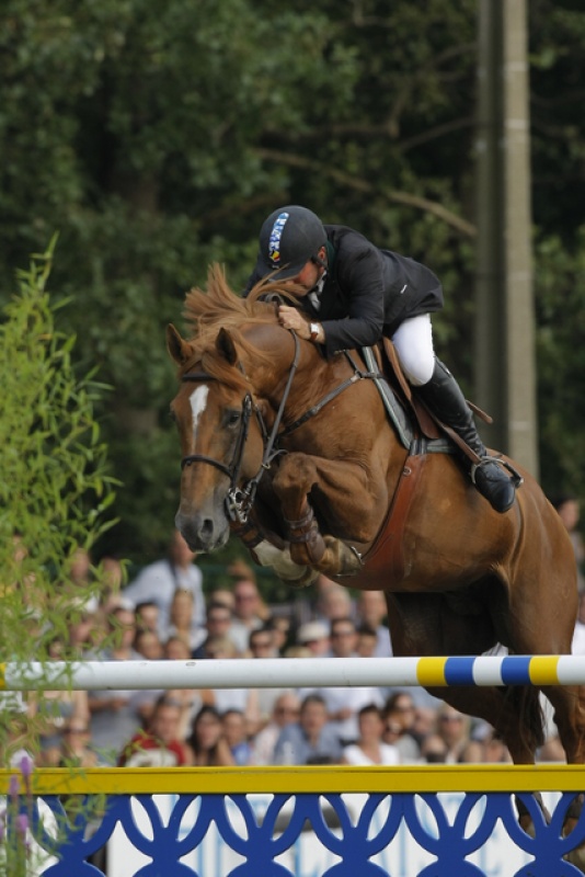 CSIO***** ST-GALLEN (4-7/6/2009)